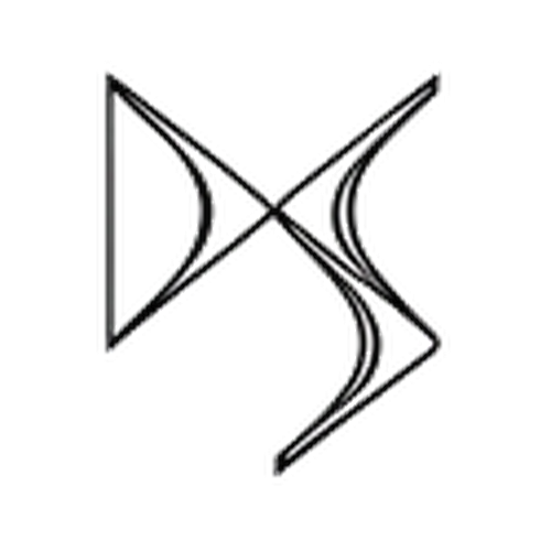 Logo DS